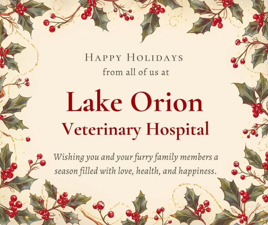 A post from Lake Orion Veterinary Hospital
