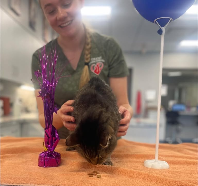 Photos from Orion Animal Hospital's post