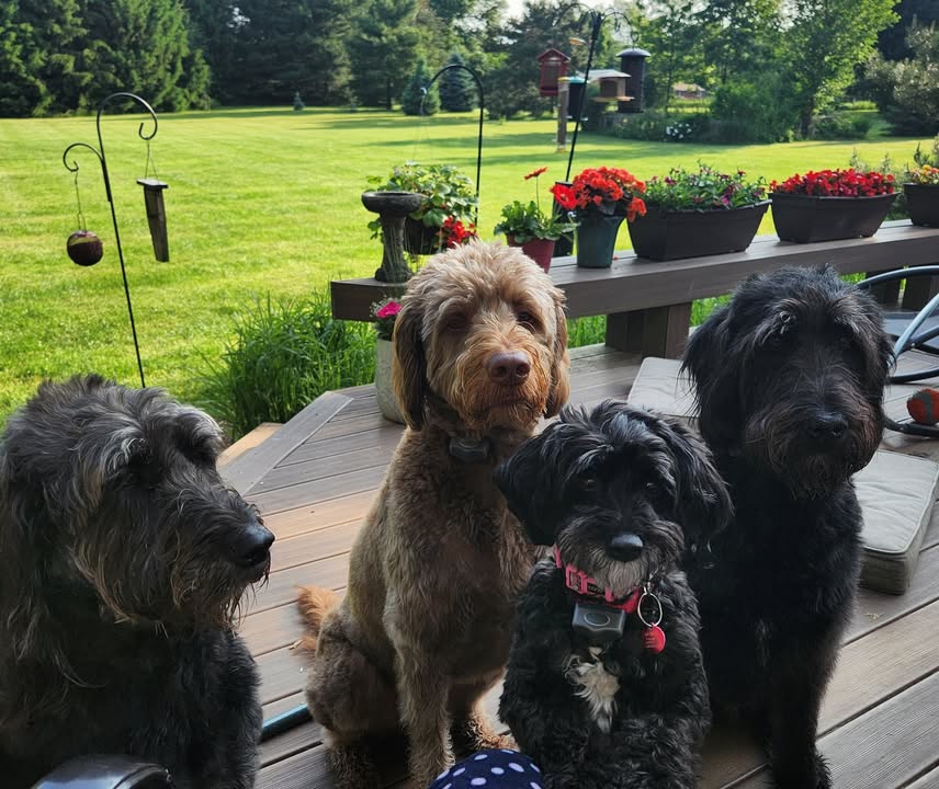 Murphy, Lilly, and Wesley with their little friend Luna