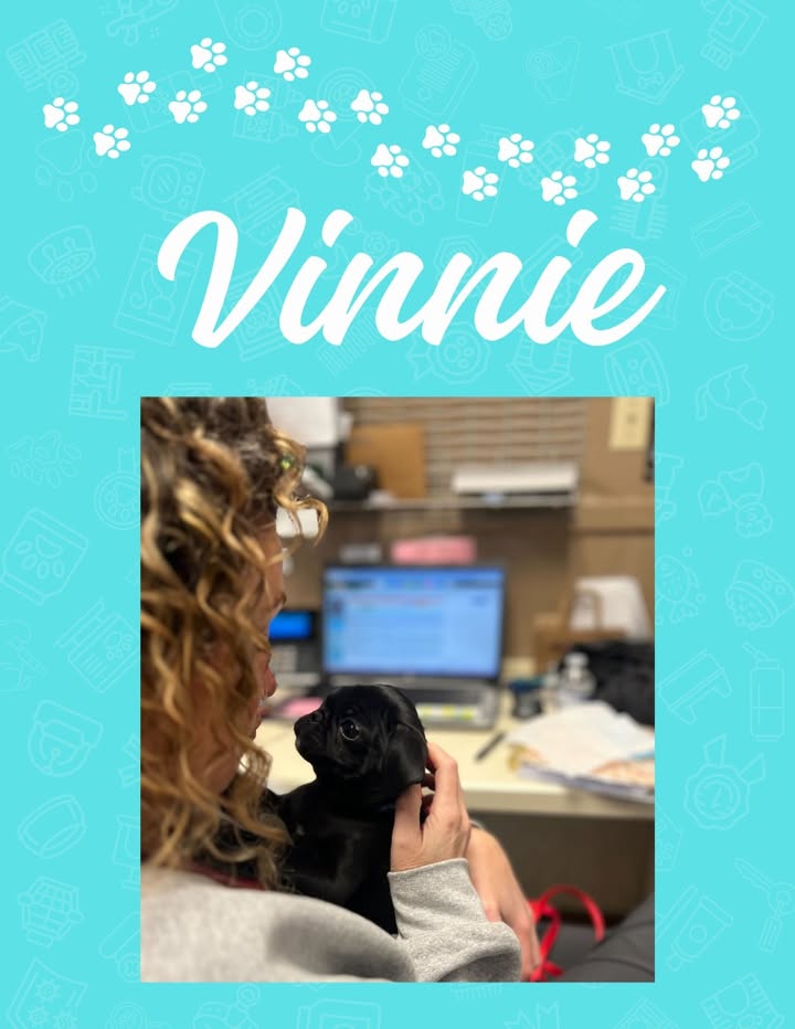 Vinnie is back, and he was the highlight of our day!