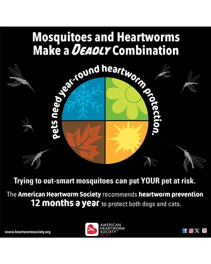 April is Heartworm Awareness Month