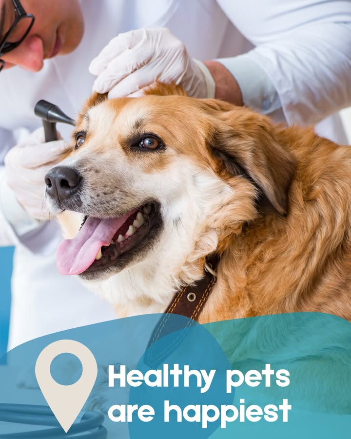 Is your pet due for a checkup?