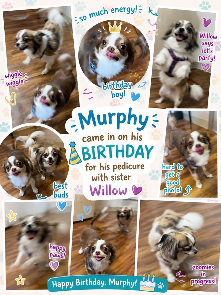 A post from Lake Orion Veterinary Hospital