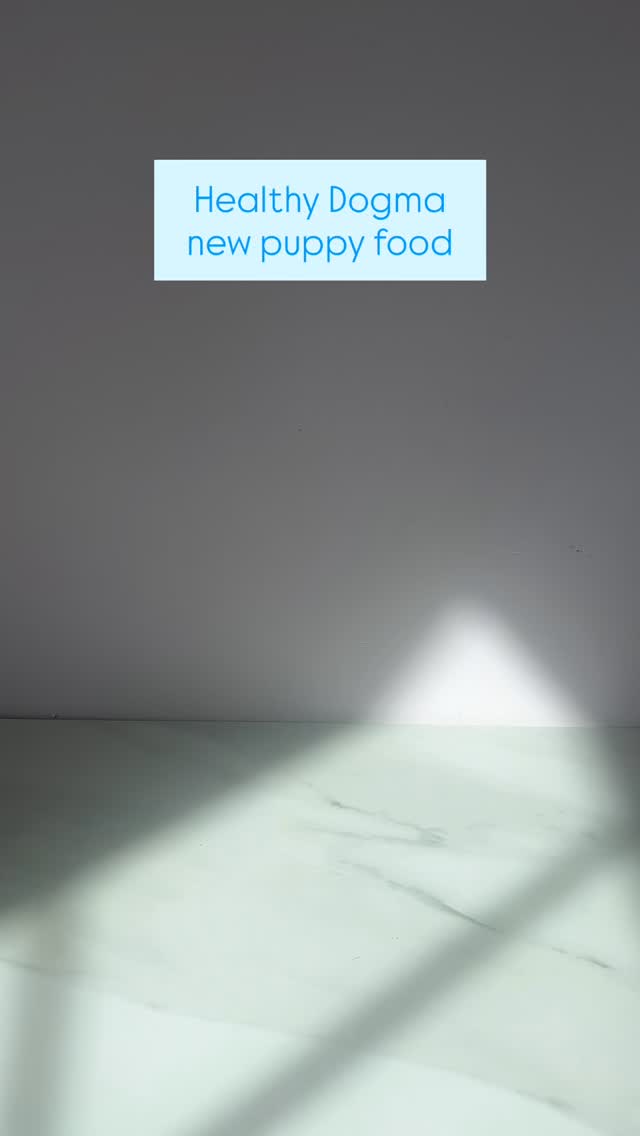 You have all been asking and it is finally here!