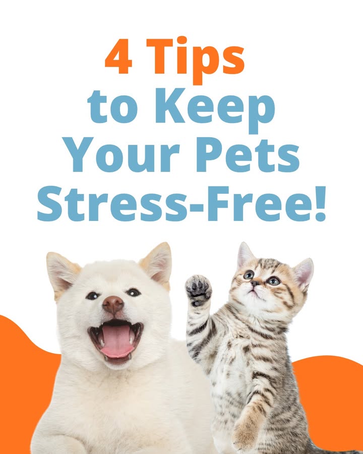 Photos from Orion Animal Care Center's post