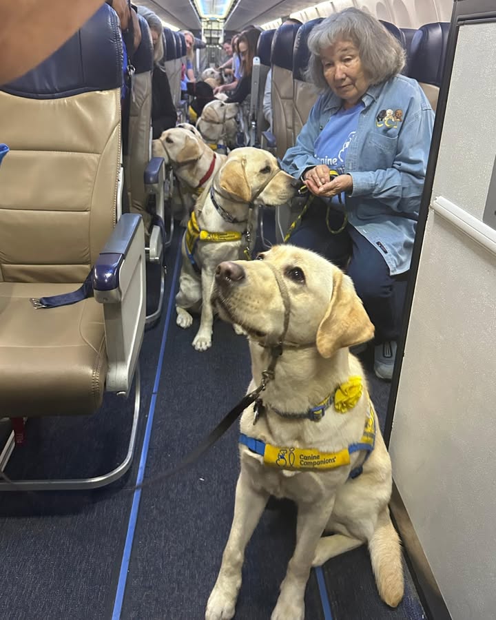 Photos from Southwest Airlines's post