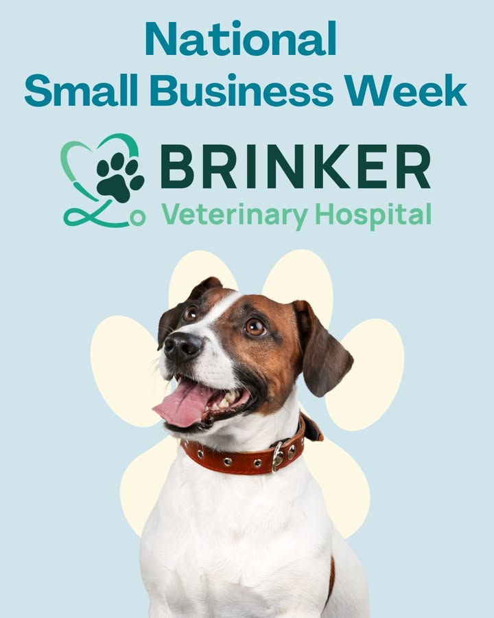Happy Small Business Week from all of us at Brinker Veterinary Hospital!