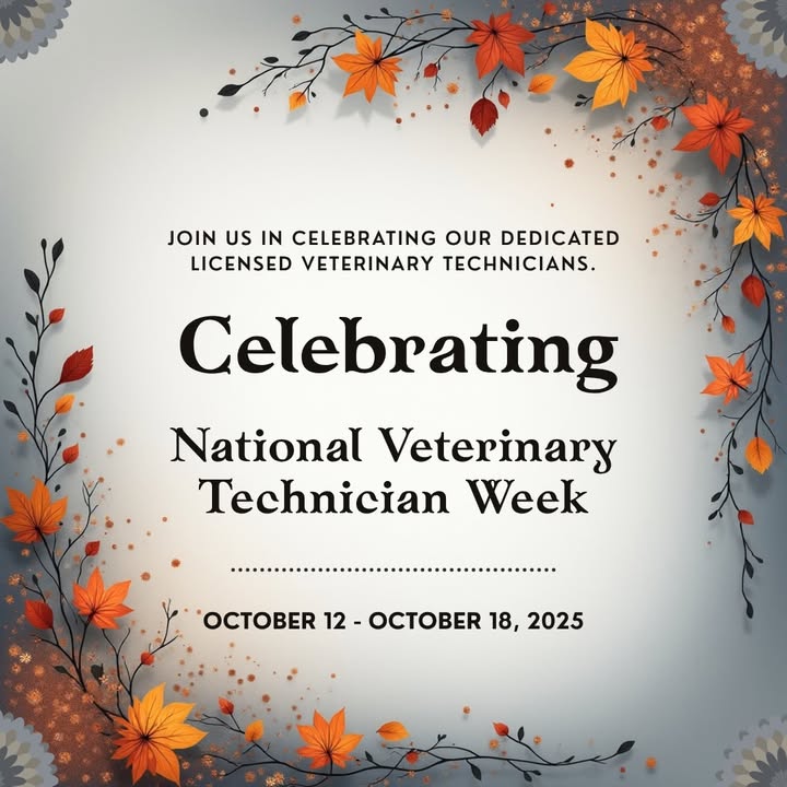 A post from Lake Orion Veterinary Hospital