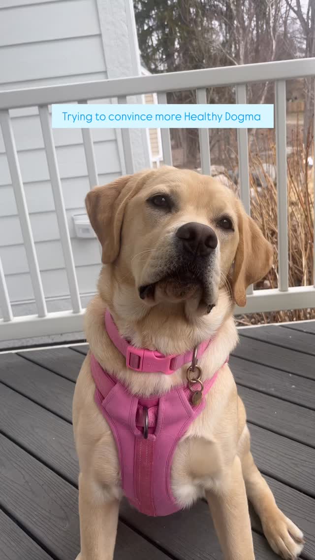 If this doesn’t work, I don’t know what will!