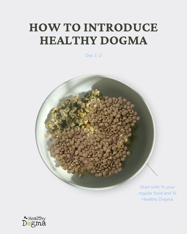 Photos from Healthy Dogma's post