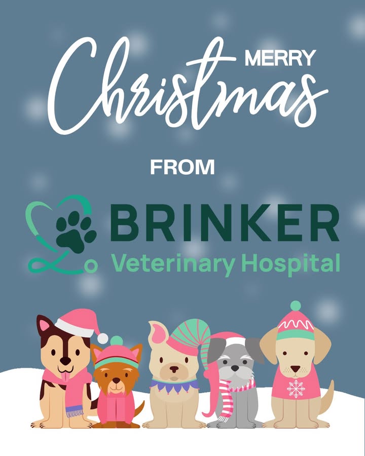 Happy holidays from all of us at Brinker Veterinary Hospital