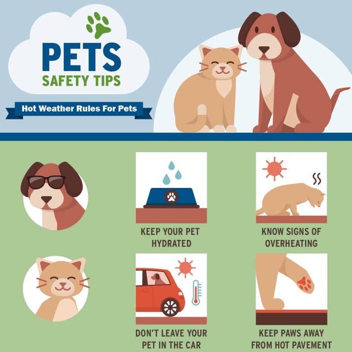 With warmer weather comes new dangers for your pets