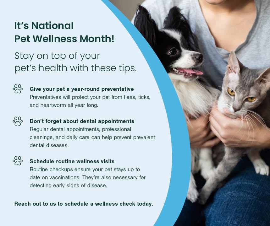 A post from Lake Orion Veterinary Hospital