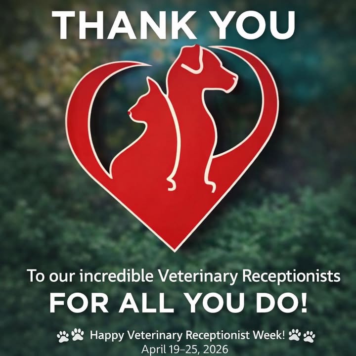 This week, we want to recognize and celebrate our incredible Veterinary Receptionists — the front desk heroes of the animal hosp...