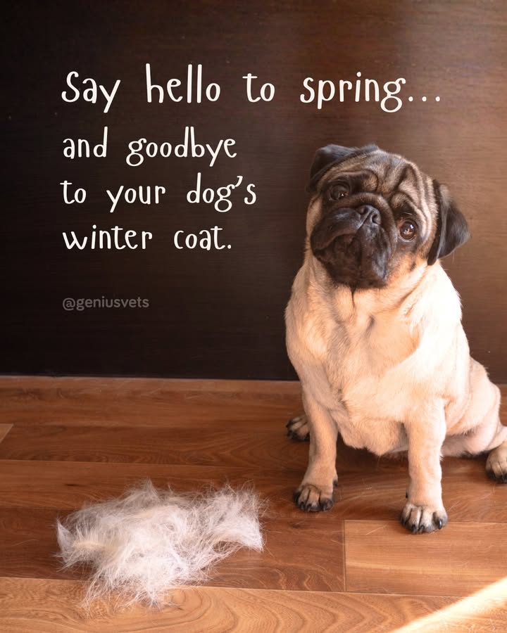 Happy First Day of Spring!