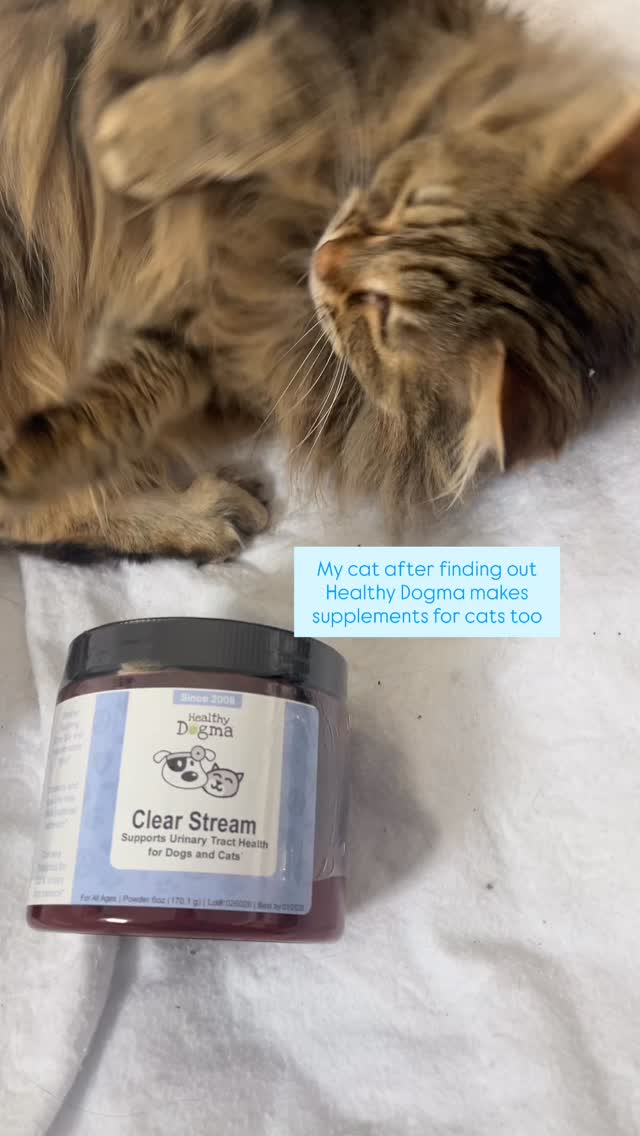 New face at Healthy Dogma!