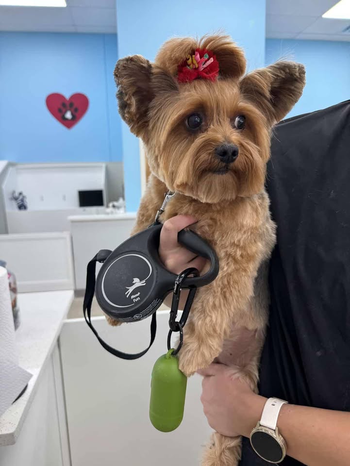 Photos from Love 4 Dogs's post