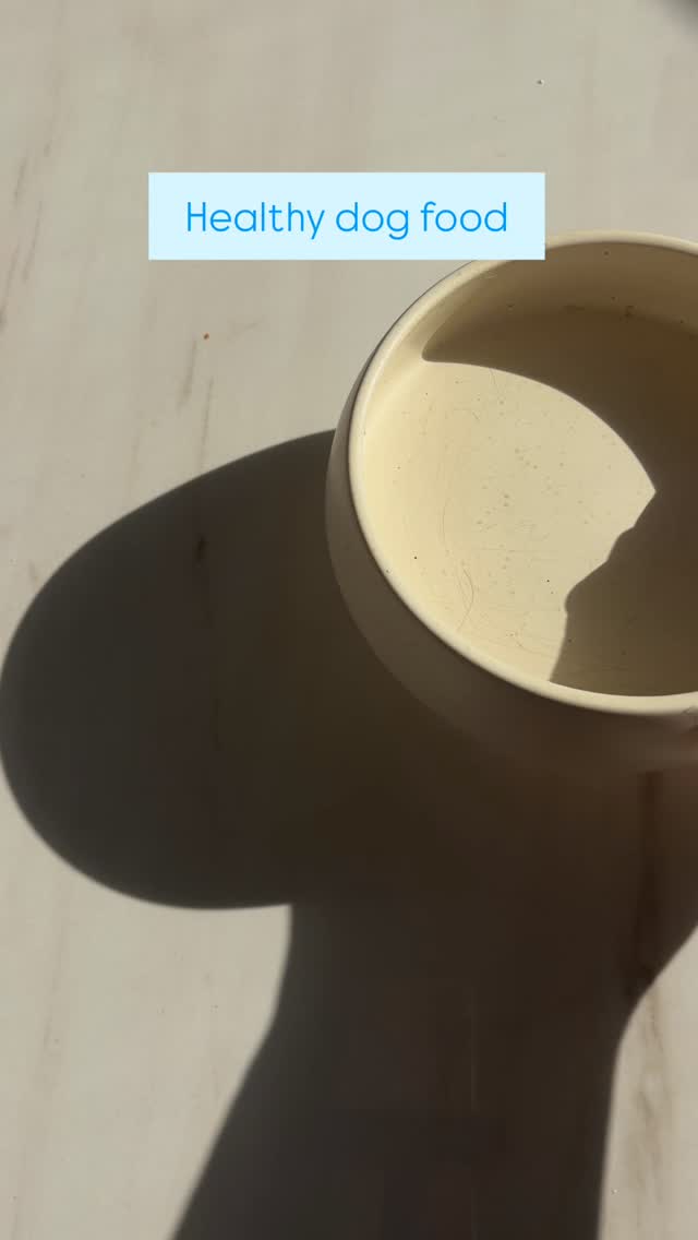 Just add water and watch the ingredients bloom in color 🌱