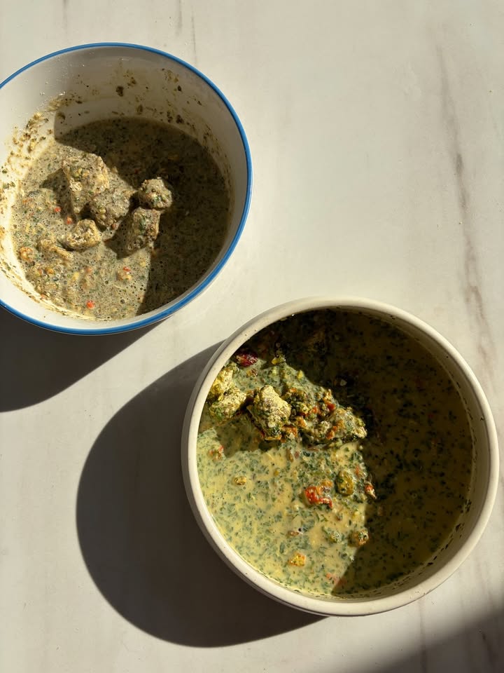 Signs you’re a dog mom: making your dog’s dinner look more gourmet than your own 🍲🐶✨