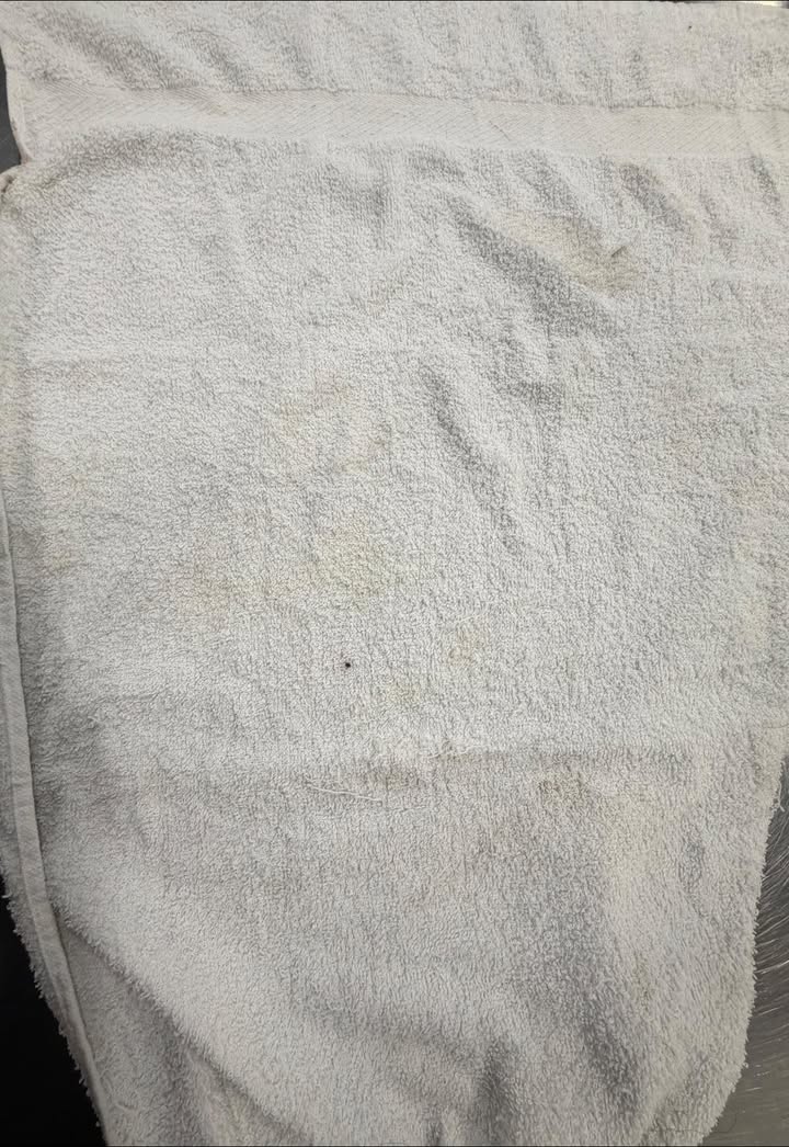 Photos from Orion Animal Hospital's post