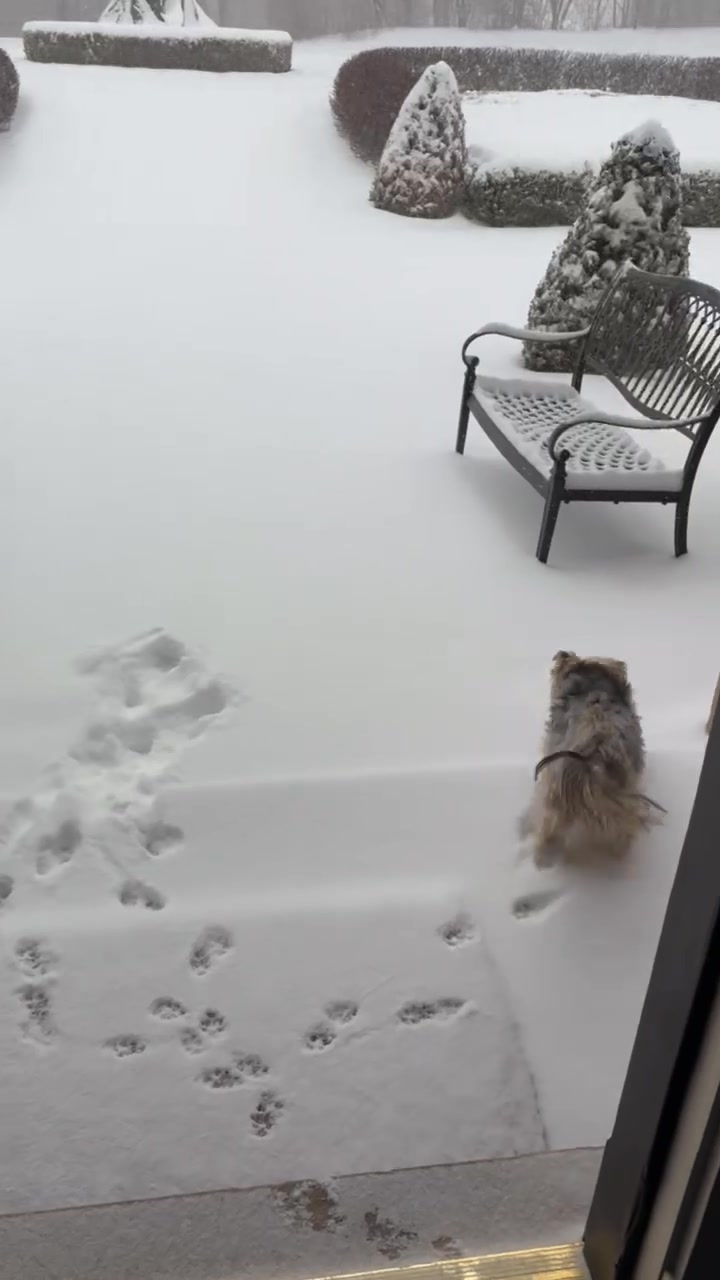 I think this is how every one in the midwest is feeling right now