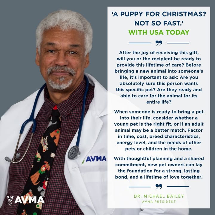 Adding a pet to your house this holiday season?