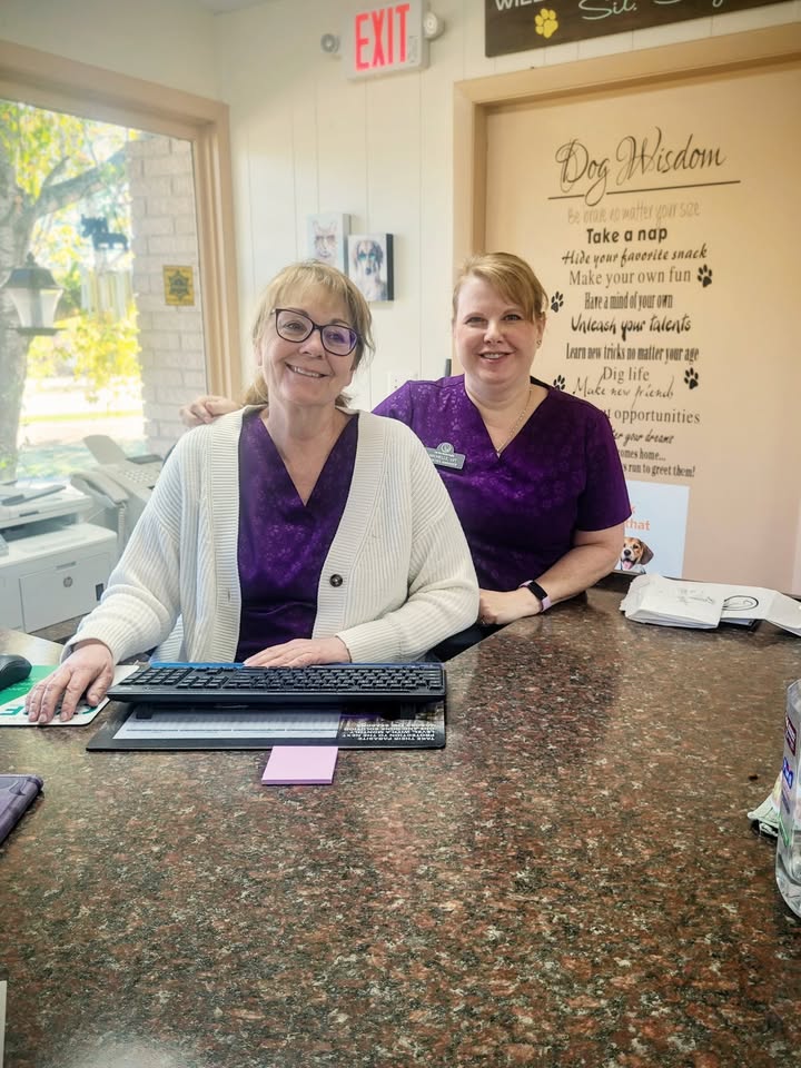 🎉🐾 Birthday Week at LOVH!