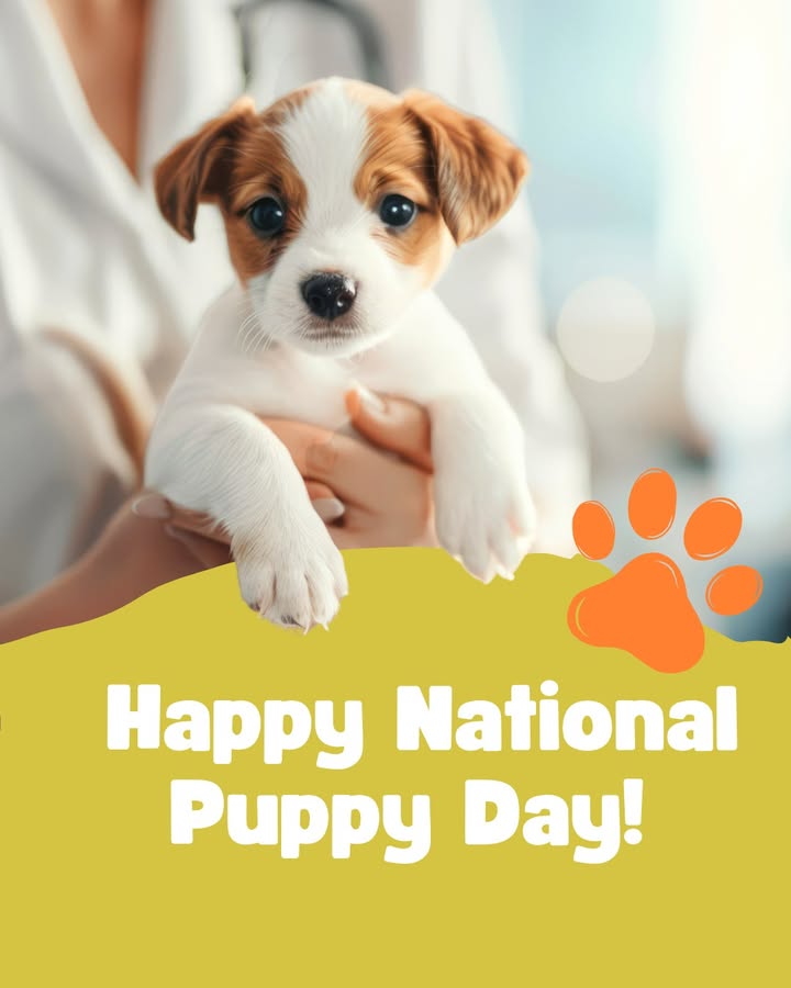 Happy National Puppy Day!