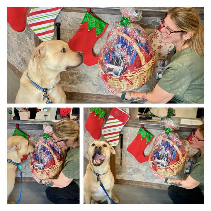 🎁 Holiday Gift Basket Raffle!