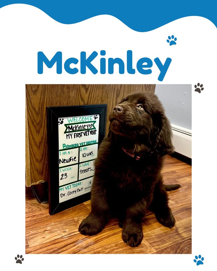 Welcome McKinley!