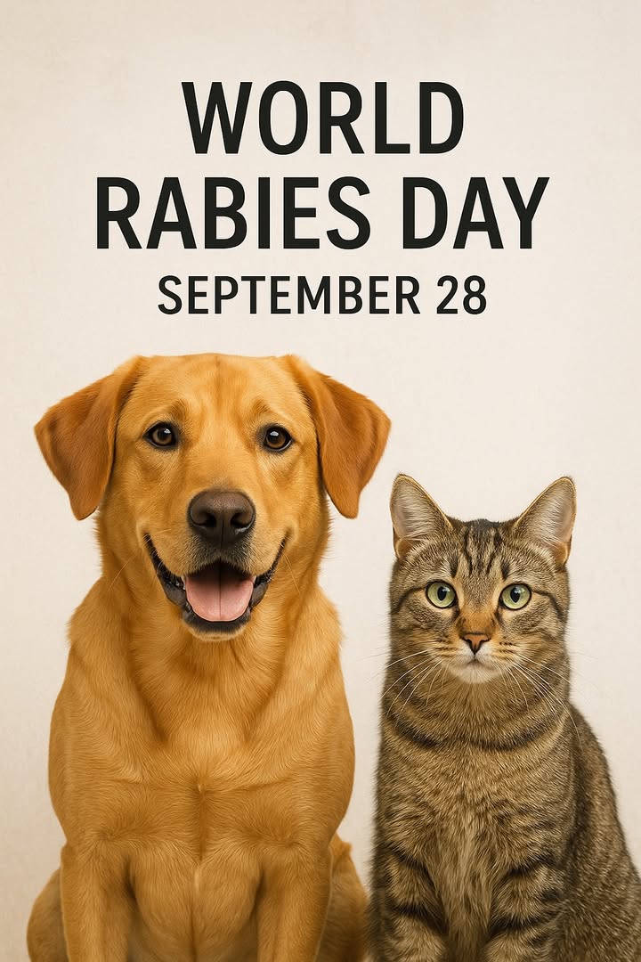 🐾💉 It’s World Rabies Day!