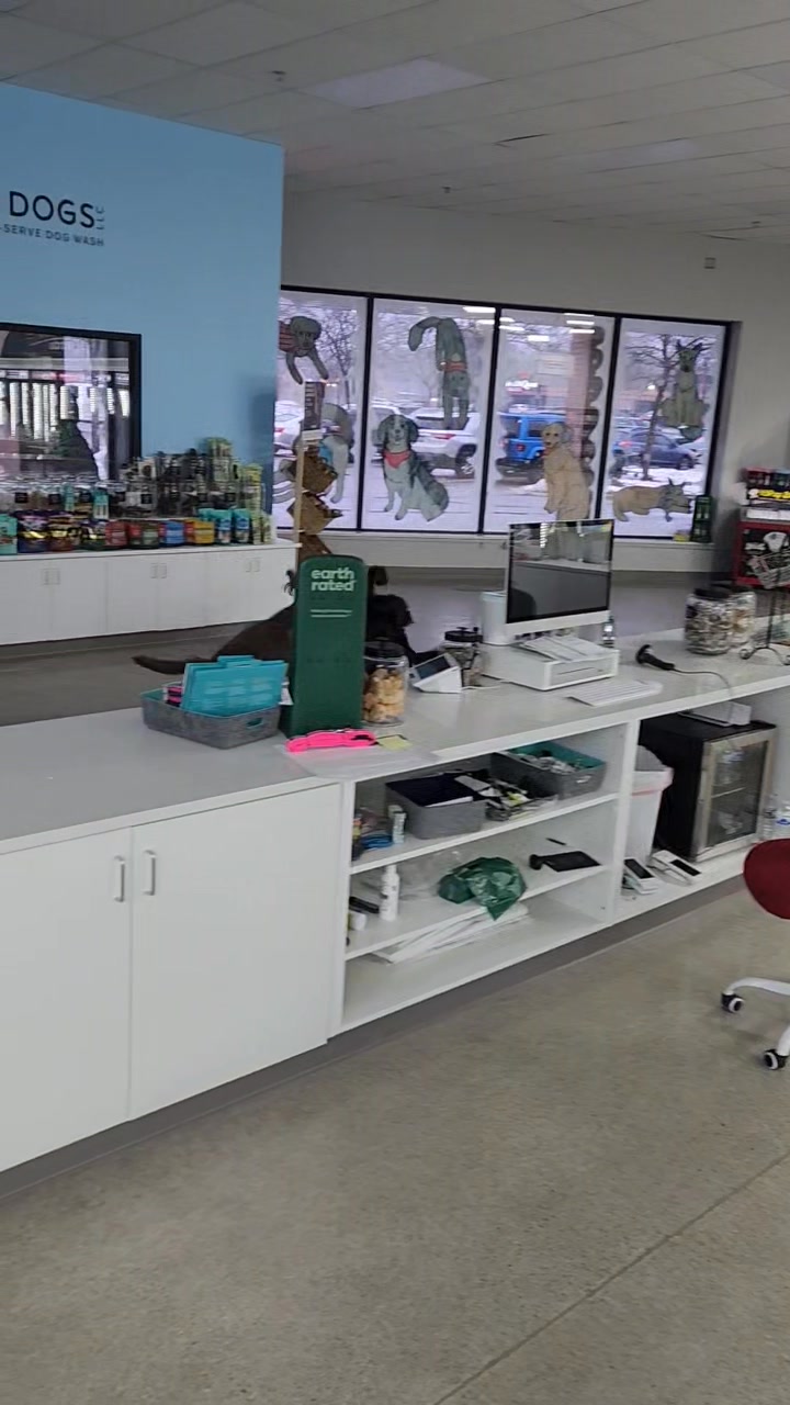 Murphy, Lilly, and Wesley in their morning huddle!