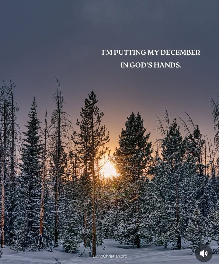 Happy Sunday! 🙏❤️🐾