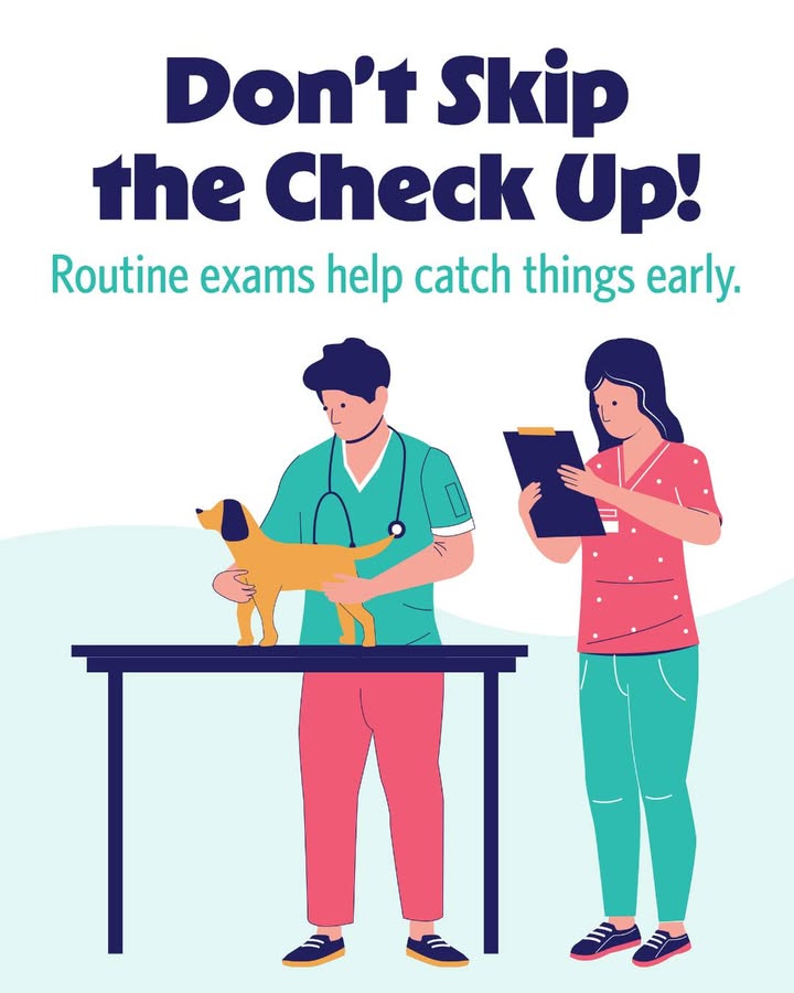 Routine exams are one of the best ways to keep your pet healthy