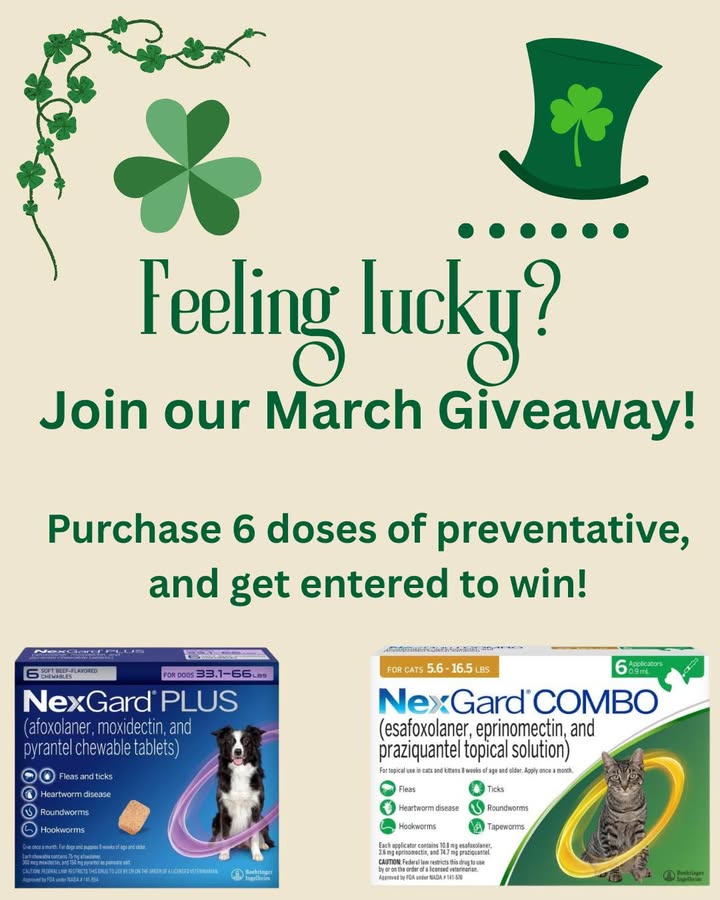 We are excited to announce a giveaway for March!