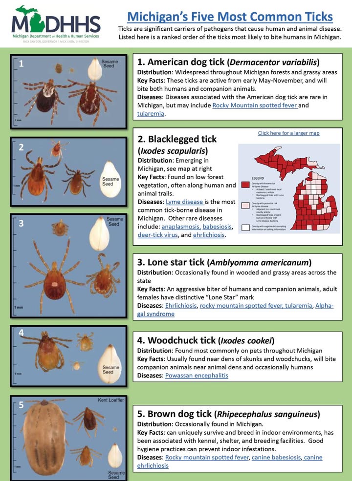 We often get questions about ticks and why are we seeing them in March or April