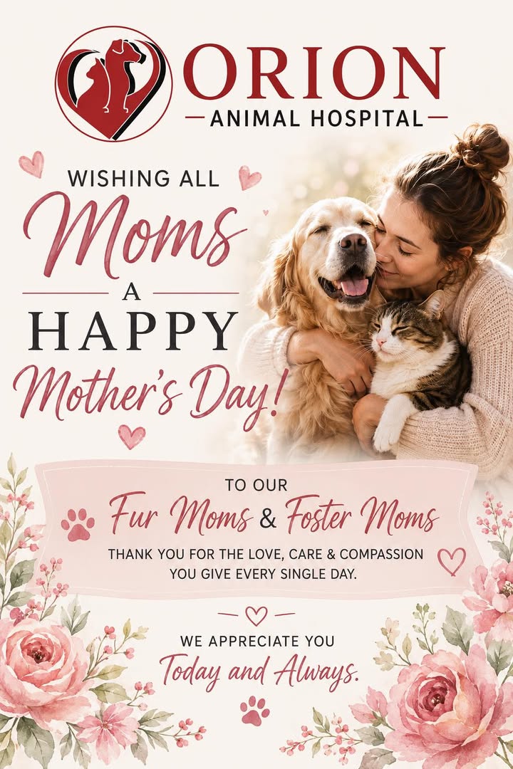 No matter what type of mother you are, we want to wish you a very wonderful day !