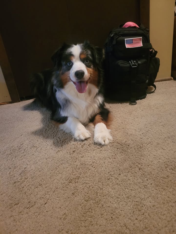 📓 Chap’s Diary Entry