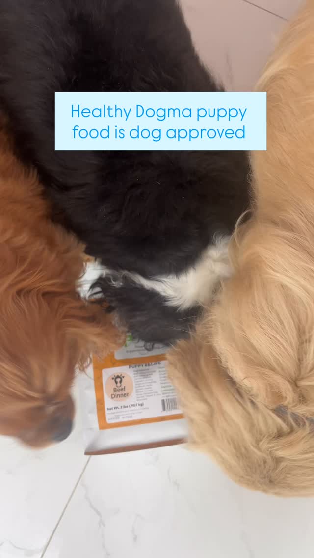 Our puppy food is just as loved!