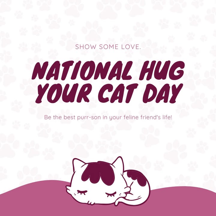 Happy National Hug Your Cat Day!
