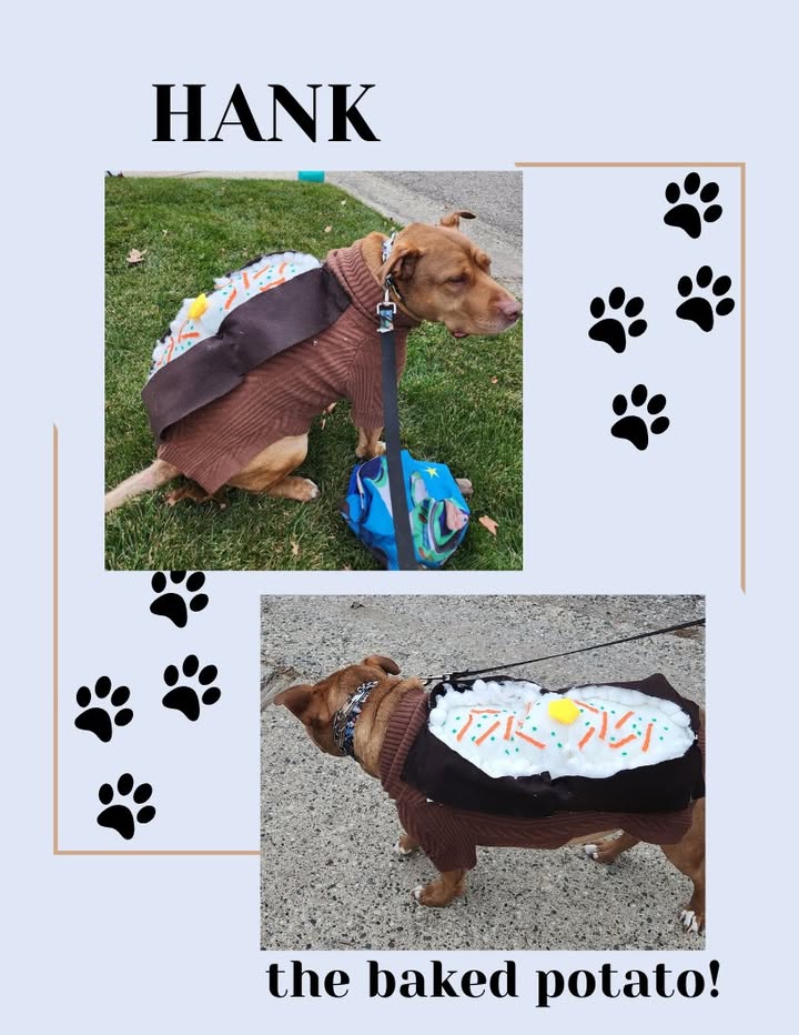 Hank came to see us and showed off his Halloween costume-- a baked potato!