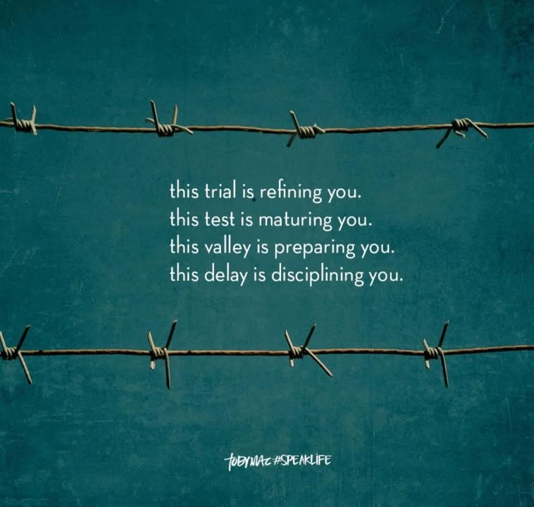 Happy Sunday! 🙏❤️🐾